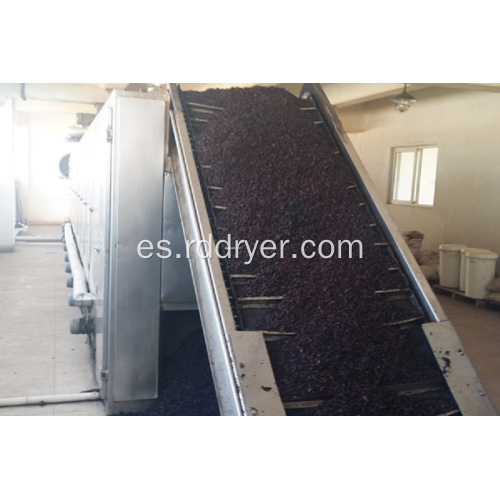 Moringa Leaf Continuous Dry Machine